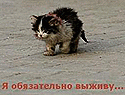 Валгалла